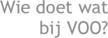Wie doet wat bij VOO?
